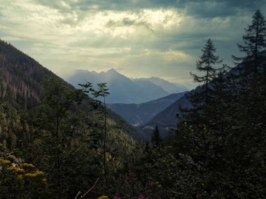 İsviçre Alpleri 'ndeki dağ sıralarından gökyüzünden gelen güneş.