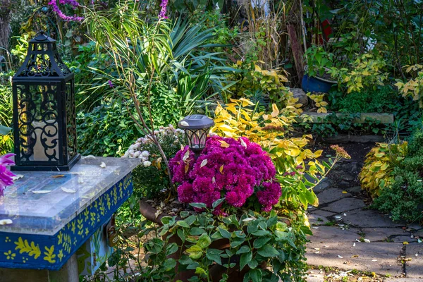 Trädgård Med Olika Växter Blommor Och Lyktor Upptäckta Nyc East — Stockfoto
