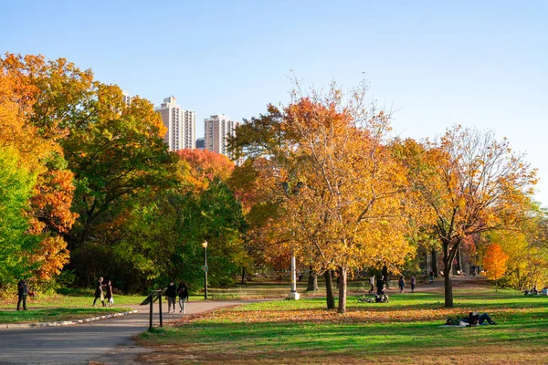 秋には公園に黄色の葉が落ちます 公園で秋を楽しむ人々 — ストック写真