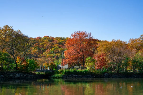 Herbstsaison Mit Farbigen Bäumen Und Wasserrand Die Die Herbstfarben Widerspiegeln — Stockfoto