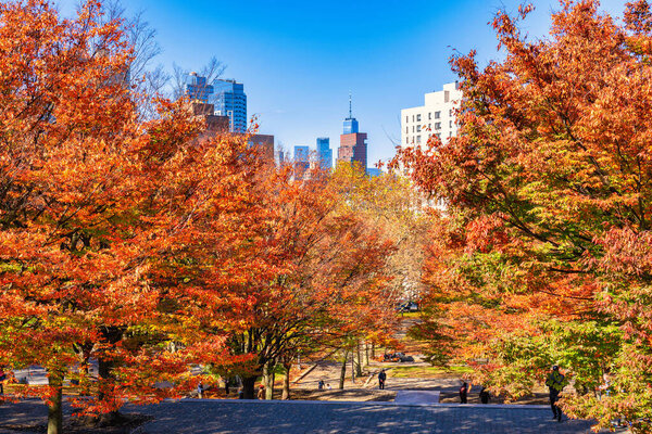 New York City, NY - November 15 2020: falling yellow leaves at public park in autumn season. People enjoying fall in the park