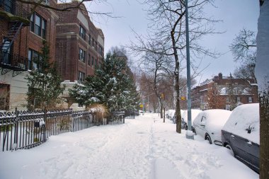 Brooklyn, New York sokaklarında karla kaplı arabaların park edildiği kış sahnesi. Kışın kumtaşları