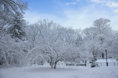 Brooklyn, New York 'taki bir parkta karla kaplı ağaçlar ve yollarla geçen kış manzarası. Soğuk hava