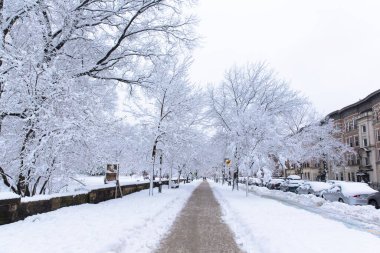 Brooklyn, New York - 7 Şubat 2021: Brooklyn, New York sokaklarında karla kaplı arabaların park edildiği kış sahnesi. Kışın kumtaşları
