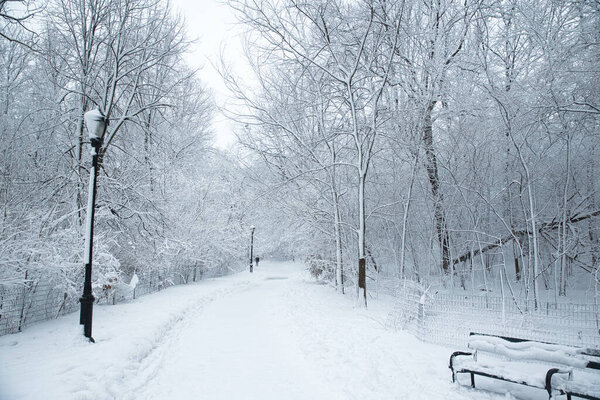 Winter scene with snow covered trees, benches and roads in a park, Brooklyn, NY. Cold weather