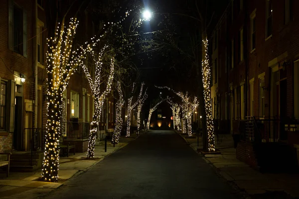 Empty street at night. Christmas lighting decoration on trees. Row of trees