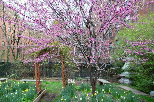 公共の庭の木や花です 公園内のアーチ型の木の入り口 — ストック写真