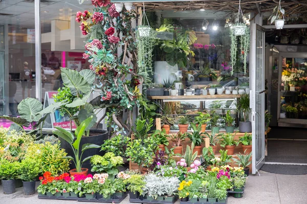 Small local flower store with many plants and flowers creating outside display