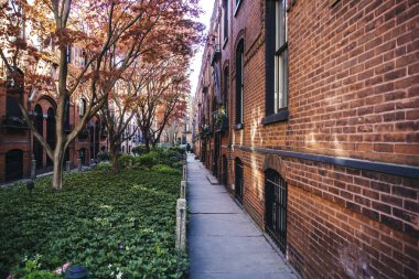 Brooklyn 'deki Mews. Ortasında çimler ve ağaçlar olan apartman daireleri.