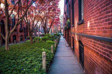 Brooklyn 'deki Mews. Ortasında çimler ve ağaçlar olan apartman daireleri.