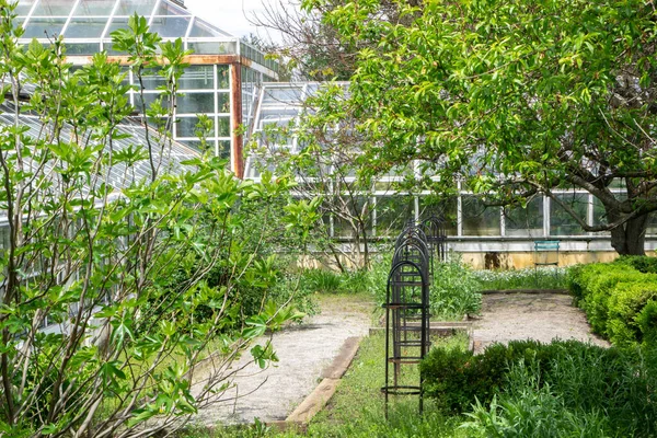 植物や花のある公園内のガラス温室の風景 — ストック写真