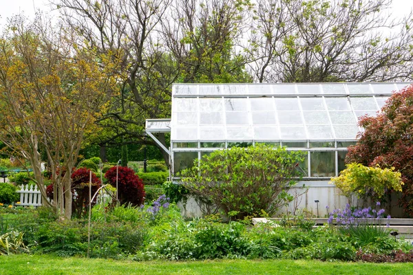 植物や花のある公園内のガラス温室の風景 — ストック写真