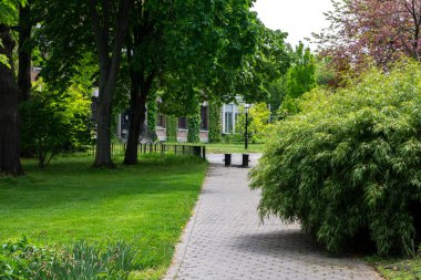 Yeşil çitli güzel bir bahçe alanı. Arka bahçe manzarası ya da çitleri, ağaçları ve çiçek açan bitkileri olan bir park.