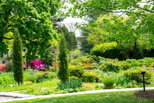 緑のヘッジ付きの美しい庭園エリア 裏庭の風景やフェンス 木や花の植物と公園 — ストック写真