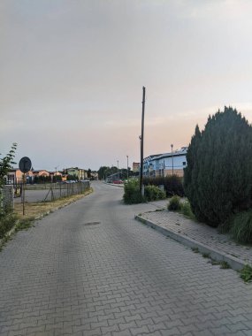 Güzel, sıcak bir günde binaları ve ağaçları olan tuğla kaldırımlar.