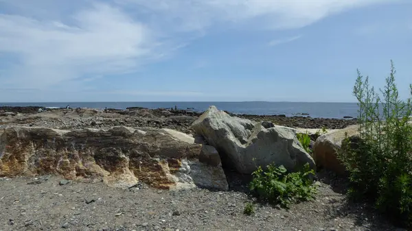 Côte Avec Rochers Plantes Arbres Vagues Océan Atlantique Rivage Par — Photo