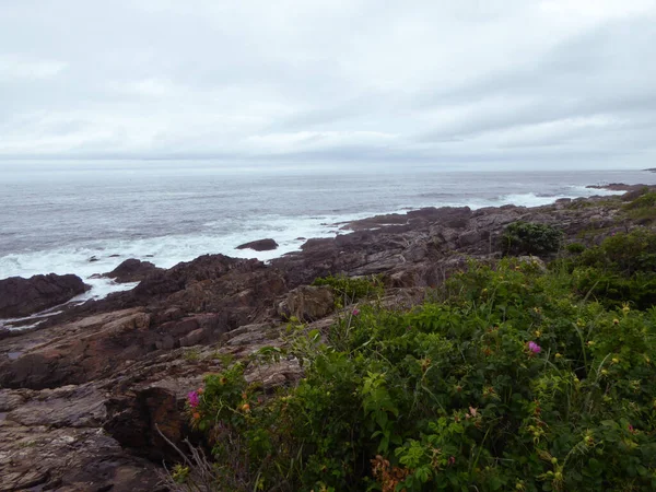 Côte Avec Rochers Plantes Arbres Vagues Océan Atlantique Rivage Par — Photo