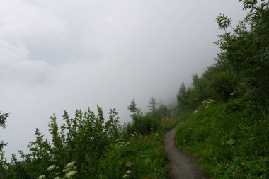 Alpler 'in manzara manzarası. Fırtınalı hava nedeniyle tepeler bulutlar ve sisle kaplıdır.