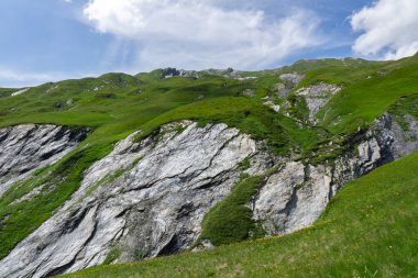 Panoramik manzara, arka planda dağlar ve çayırlar, güzel, güneşli bir günde çimenler olan rahatlatıcı dağ manzarası.
