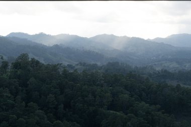 Gün batımında veya gün doğumunda sisli atmosferi olan ormanlı dağ manzarası