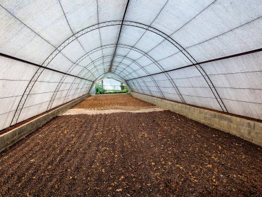 Örtülü bir yapının içinde kahve ya da kakao çekirdeği kuruyor.