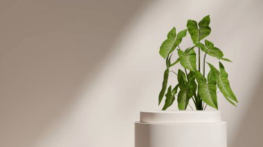 3D görüntüleme boş alan beyaz renk eğimli silindir manzara en az sahne