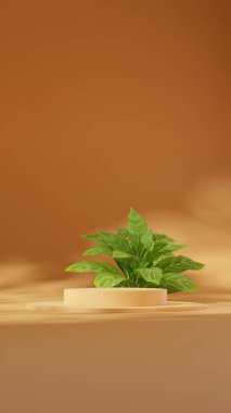 3D görüntüleme boş sahne beton dokusu eğimli silindir