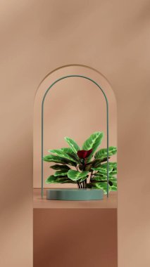 Kemerli arkaplan, 3d boş boşluk kahverengi renkli silindir portrede oluşturuluyor