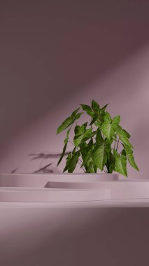 3d rendering blank space pink color curved cylinder in portrait minimal scene