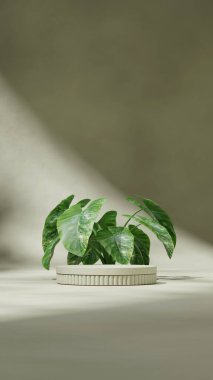 En küçük sahne, 3d görüntü düzenleme şablonu yeşil renk eğimli silindir portrede