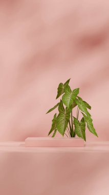 Portrede 3D biçimlendirme alanı pembe renk bloğu şekli en düşük sahne