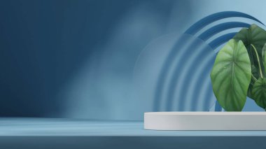 3D görüntüyü boş görüntüle peyzaj dairesi ve kemer şeklinde mavi renkli eğri blok