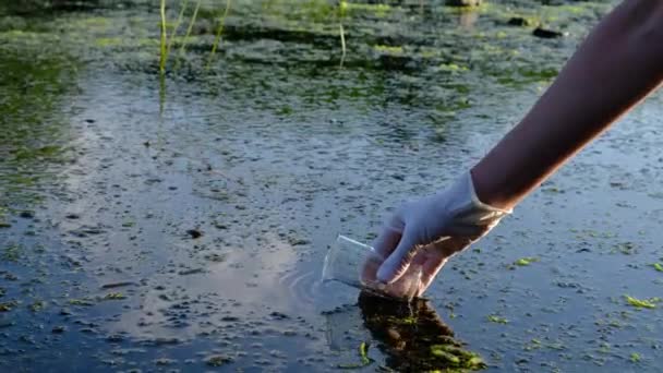 Образцы речной воды. Рука держит химическую колбу с жидкостью — стоковое видео