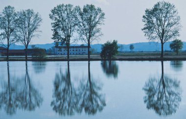 Piedmont 'un sular altında kalan çeltik tarlasında Mayıs ayında Vercelli ili güzel yansımaları ve renkleri olan bir su aynası olarak görülür..