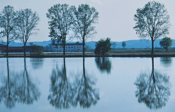 Piedmont 'un sular altında kalan çeltik tarlasında Mayıs ayında Vercelli ili güzel yansımaları ve renkleri olan bir su aynası olarak görülür..