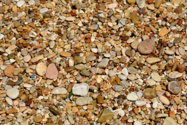 Deniz tarafından düzleştirilmiş Akdeniz plajının taşları.