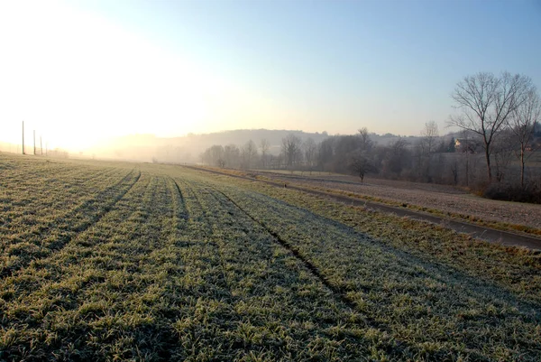 Prato Con Rugiada Una Fredda Mattina Inverno Piena Fascino — Foto Stock