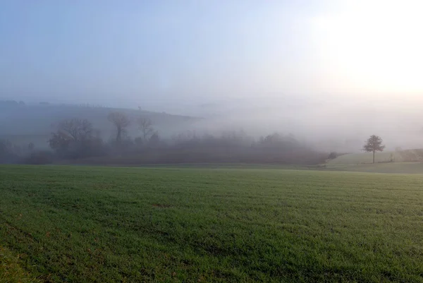 Prato Con Rugiada Una Fredda Mattina Inverno Piena Fascino — Foto Stock