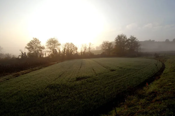 在一个充满魅力的寒冷的冬日清晨 草甸上洒满了露珠 — 图库照片