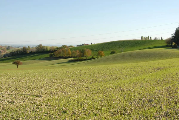 Colline Piemontesi Provincia Alessandria Sono Molto Dolci Con Antichi Borghi — Foto Stock