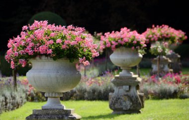 Loire Vadisi 'ndeki Chenonceaux Şatosu' ndan çiçekli saksıları olan güzel bahçeler.