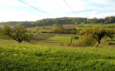 Piedmont Langhe 'de sonbahar, bağların sarı yaprakları ve sıcak sonbahar renklerinde tepeleriyle sıcak renklerde bir mucizedir..