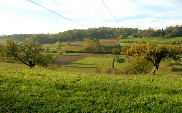 Autunno Nelle Langhe Piemontesi Una Meraviglia Colori Caldi Con Foglie — Foto Stock