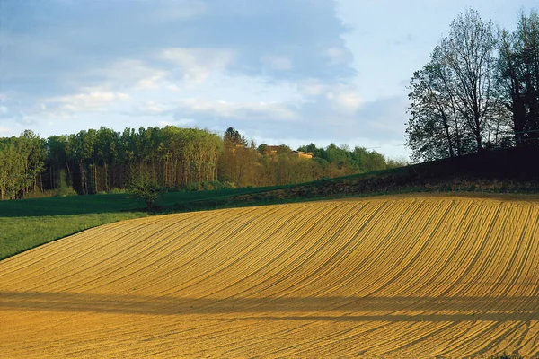 Campo Oro Grano Giugno Mentre Soffia Vento Estivo Sulle Colline — Foto Stock