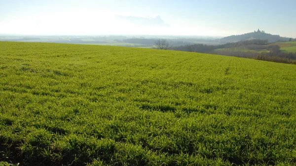 Colline Piemontesi Provincia Alessandria Sono Molto Dolci Con Antichi Borghi — Foto Stock