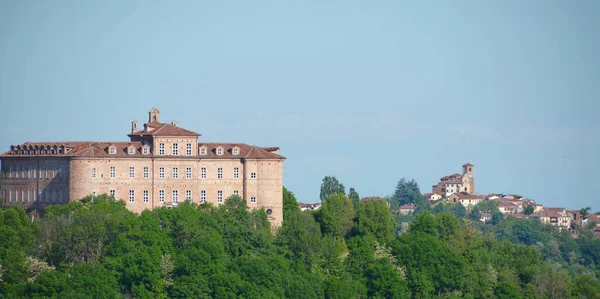 Outono Langhe Piemonte Uma Maravilha Cores Quentes Com Folhas Amarelas — Fotografia de Stock