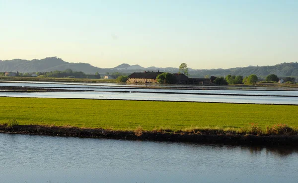 Piedmont 'un sular altında kalan çeltik tarlasında Mayıs ayında Vercelli ili güzel yansımaları ve renkleri olan bir su aynası olarak görülür..