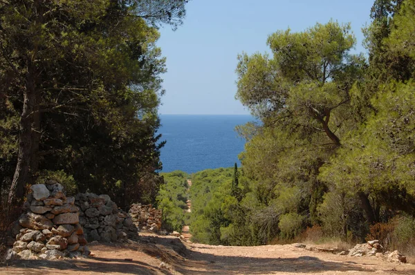 Puglia Salento Daki Porto Selvaggio Bölgesel Doğal Parkı Nın Akdeniz — Stok fotoğraf