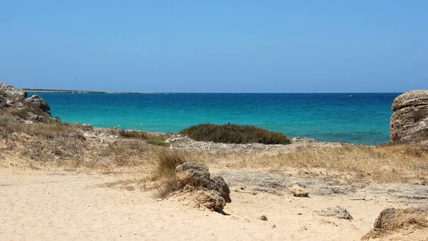 Salento Bölgesindeki Puglia Nın Doğal Plajı Suyun Mavi Olduğu Doğanın — Stok fotoğraf