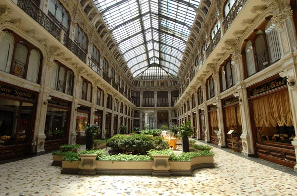 Turin 'in Subalpina galerisi Piazza Castello ve Piazza Carlo Alberto arasında yer almaktadır ve Piedmontese başkentinin üç tarihi galerisinden biridir..